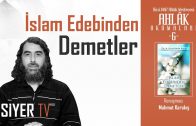 İslam Edebinden Demetler (Abdulfettah Ebu Ğudde) | Mahmut Karakış